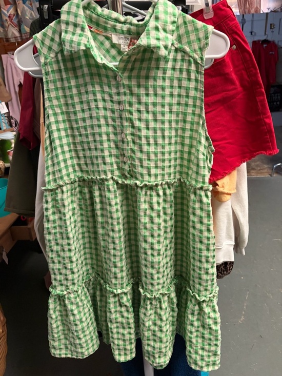 Umgee Dresses & Skirts - Umgee Green and White Gingham Button-Front Dress